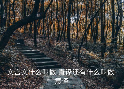 文言文什么叫做 直譯還有什么叫做 意譯