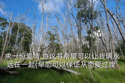 情侶協(xié)議書約定書