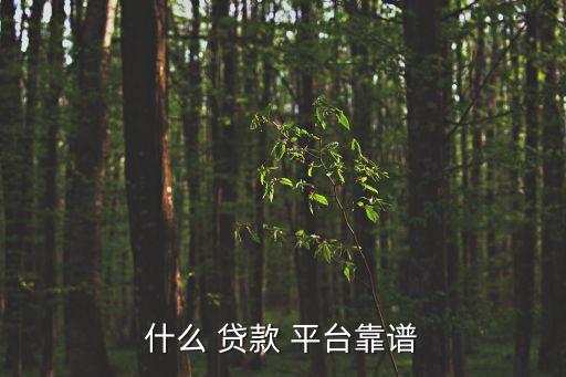 什么 貸款 平臺靠譜
