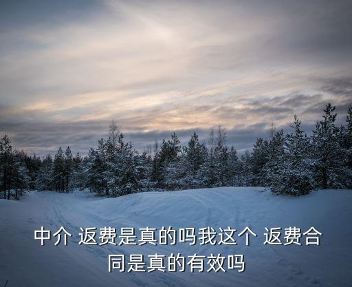  中介 返費是真的嗎我這個 返費合同是真的有效嗎