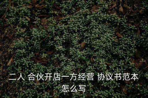 合伙做生意合同協(xié)議書怎么寫,二人合伙人股權(quán)分配方案
