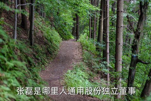  張磊是哪里人通用股份獨立董事