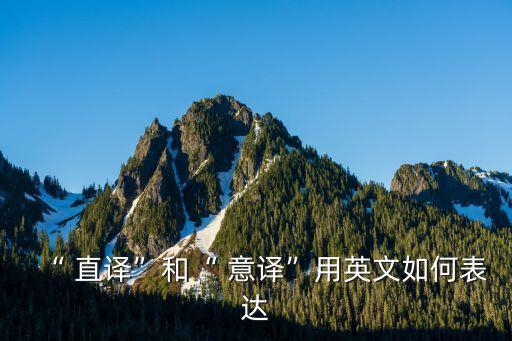 翻譯直譯意譯的定義,直譯法和意譯法定義