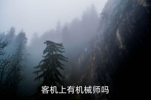 客機(jī)上有機(jī)械師嗎