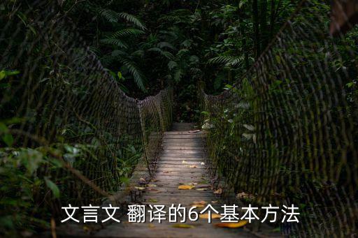 文言文翻譯有幾種方法,處理這一問題有幾種方法翻譯