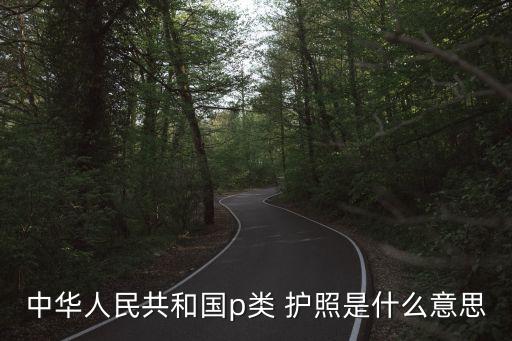 中華人民共和國(guó)p類 護(hù)照是什么意思