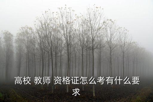高校教師資格證考試,云南省高校教師資格證考試