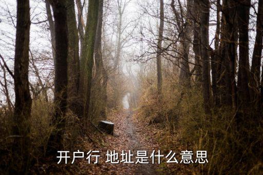  開戶行 地址是什么意思