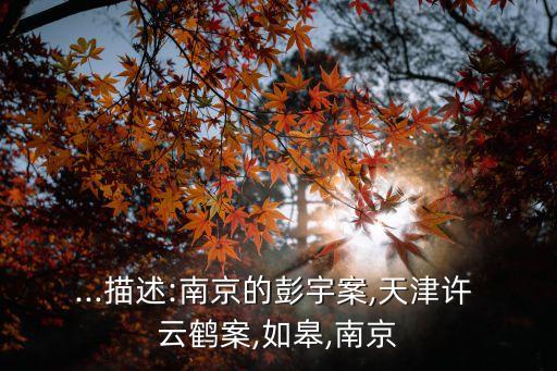 許云鶴案,天津許云鶴案