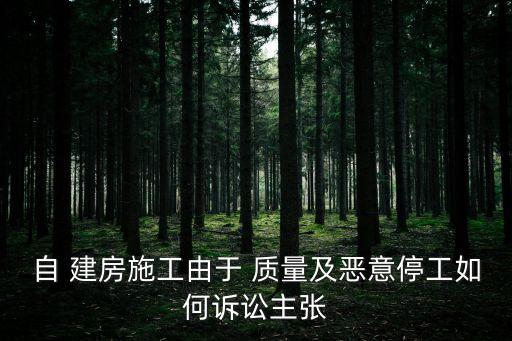 自 建房施工由于 質量及惡意停工如何訴訟主張