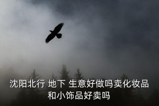 沈陽北行 地下 生意好做嗎賣化妝品和小飾品好賣嗎