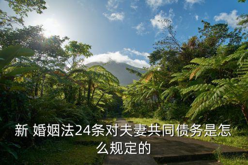 婚姻法24條,刑法婚姻法24條