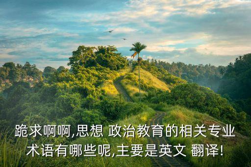 中國重要政治詞匯翻譯,政治詞匯翻譯策略