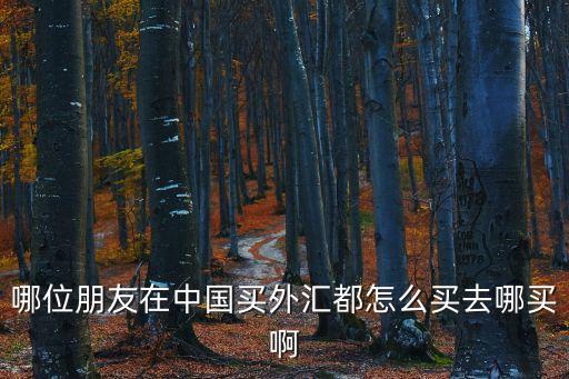 哪位朋友在中國(guó)買(mǎi)外匯都怎么買(mǎi)去哪買(mǎi)啊