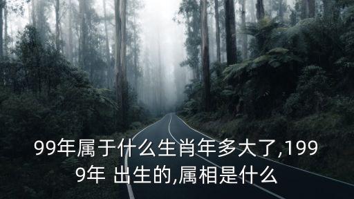 99年出生今年多大,周歲年齡計(jì)算器