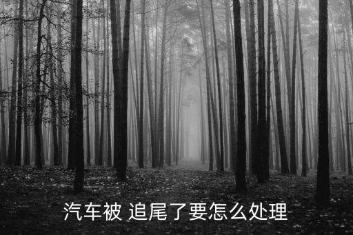 汽車被 追尾了要怎么處理