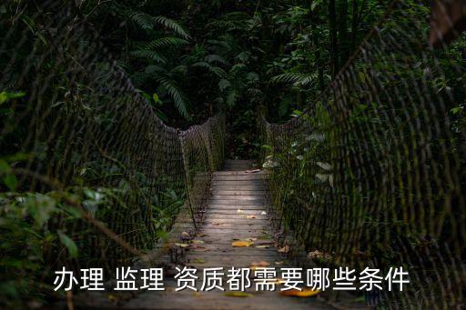 辦理 監(jiān)理 資質(zhì)都需要哪些條件