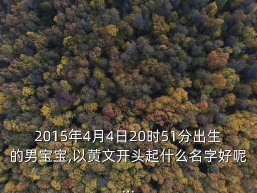 2015年4月4日20時(shí)51分出生的男寶寶,以黃文開(kāi)頭起什么名字好呢...