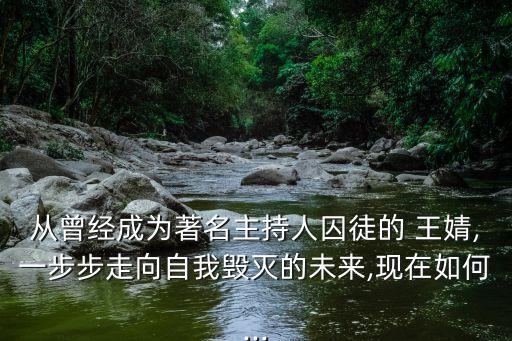 王婧