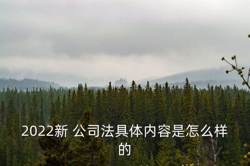 公司法修改