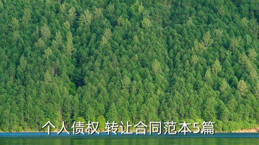 債務(wù)轉(zhuǎn)讓協(xié)議,第三方債務(wù)轉(zhuǎn)讓協(xié)議