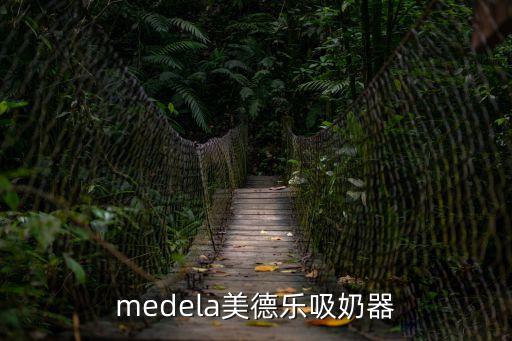medela美德樂(lè)吸奶器