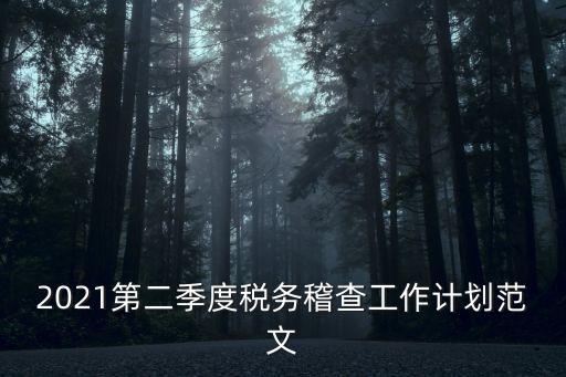 2021第二季度稅務(wù)稽查工作計劃范文