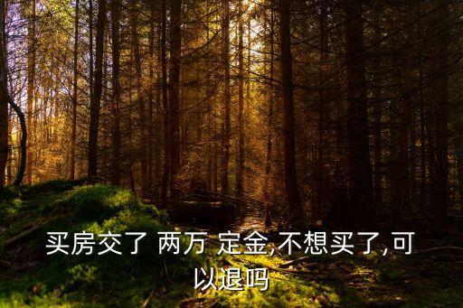 定房子交的兩萬定金可以退款嗎,退定金怎樣投訴開發(fā)商最有效