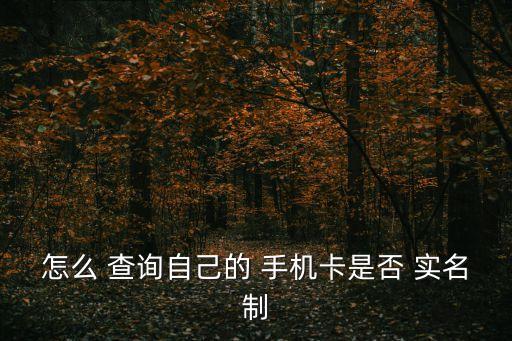 怎么 查詢(xún)自己的 手機(jī)卡是否 實(shí)名制