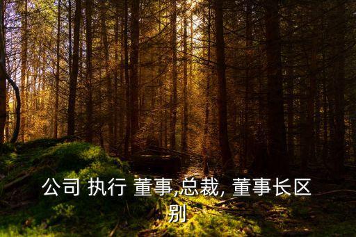 公司 執(zhí)行 董事,總裁, 董事長區(qū)別