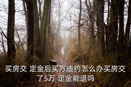 買房交 定金后買方違約怎么辦買房交了5萬 定金能退嗎