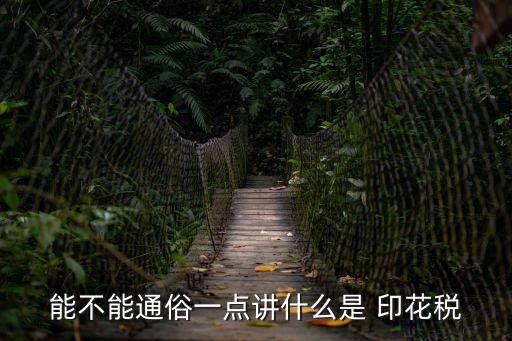 能不能通俗一點(diǎn)講什么是 印花稅