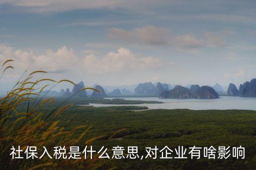 金稅三期是啥意思,金稅四期的全面解讀
