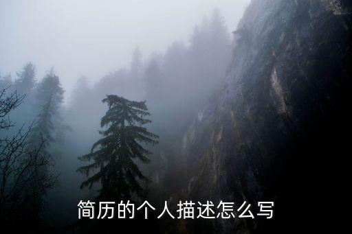 個(gè)人說(shuō)明怎么寫,集團(tuán)經(jīng)歷個(gè)人說(shuō)明怎么寫