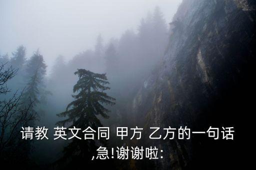 英文 甲方乙方,合同書樣本甲方乙方