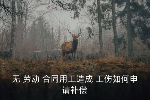 無 勞動(dòng) 合同用工造成 工傷如何申請(qǐng)補(bǔ)償
