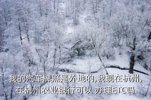 我的汽車(chē)牌照是外地的,我現(xiàn)在杭州,在杭州農(nóng)業(yè)銀行可以 辦理ETC嗎