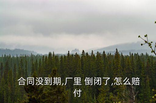 沒簽勞動合同工廠倒閉怎么賠償,未簽勞動合同工廠倒閉能補償