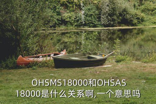 OHSMS,ohsms是什么體系