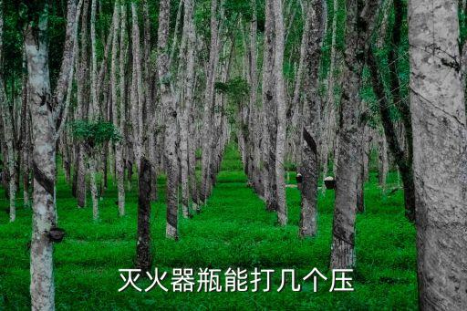 滅火器瓶能打幾個壓