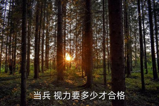 當兵 視力要多少才合格