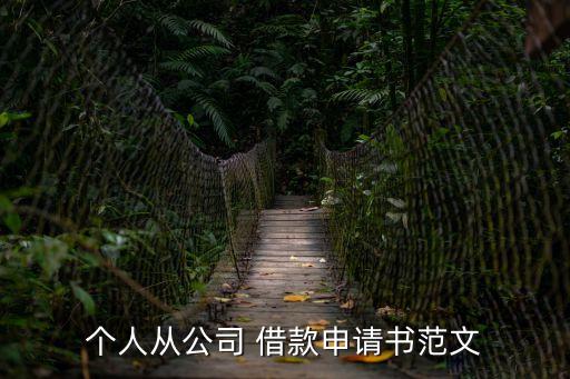 個(gè)人從公司 借款申請(qǐng)書(shū)范文