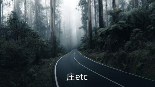 石家莊etc