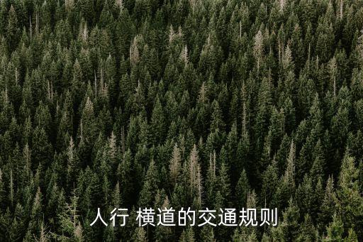  人行 橫道的交通規(guī)則