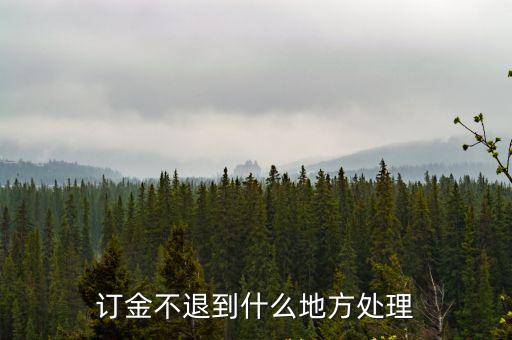 訂金不退到什么地方處理