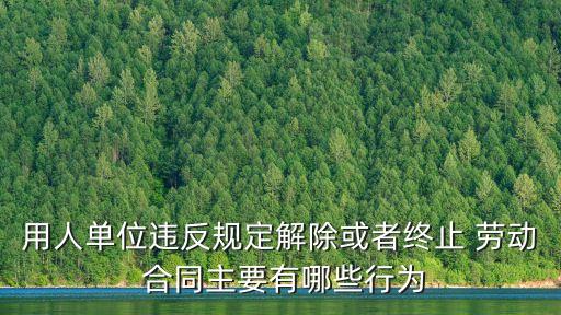 勞動(dòng)合同法律行為包括哪些,法律行為的外在方面包括哪些