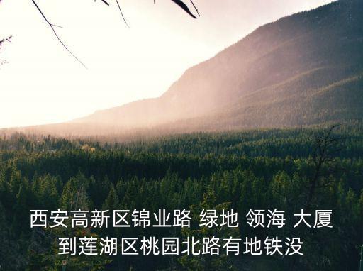 西安高新區(qū)錦業(yè)路 綠地 領(lǐng)海 大廈到蓮湖區(qū)桃園北路有地鐵沒(méi)