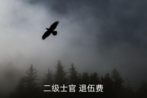 二級(jí)士官 退伍費(fèi)