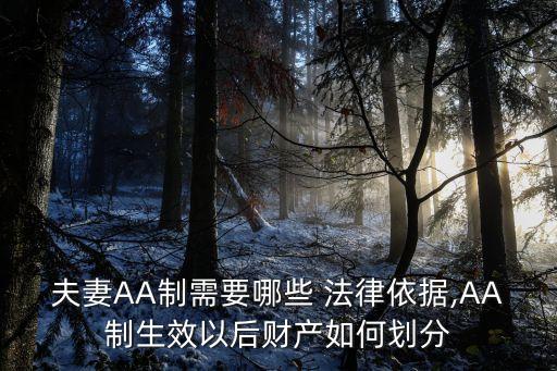 夫妻AA制需要哪些 法律依據(jù),AA制生效以后財(cái)產(chǎn)如何劃分