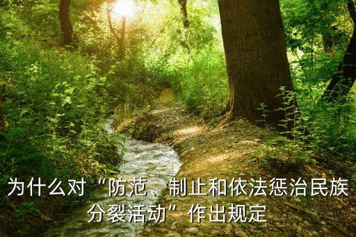為什么對“防范、制止和依法懲治民族分裂活動”作出規(guī)定